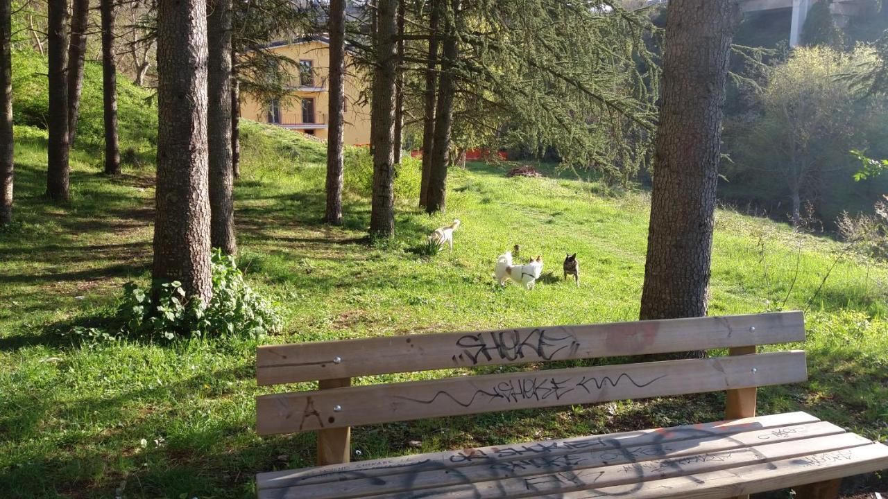 Villa Center Appartamenti Nel Verde In Citta Campobasso Kültér fotó