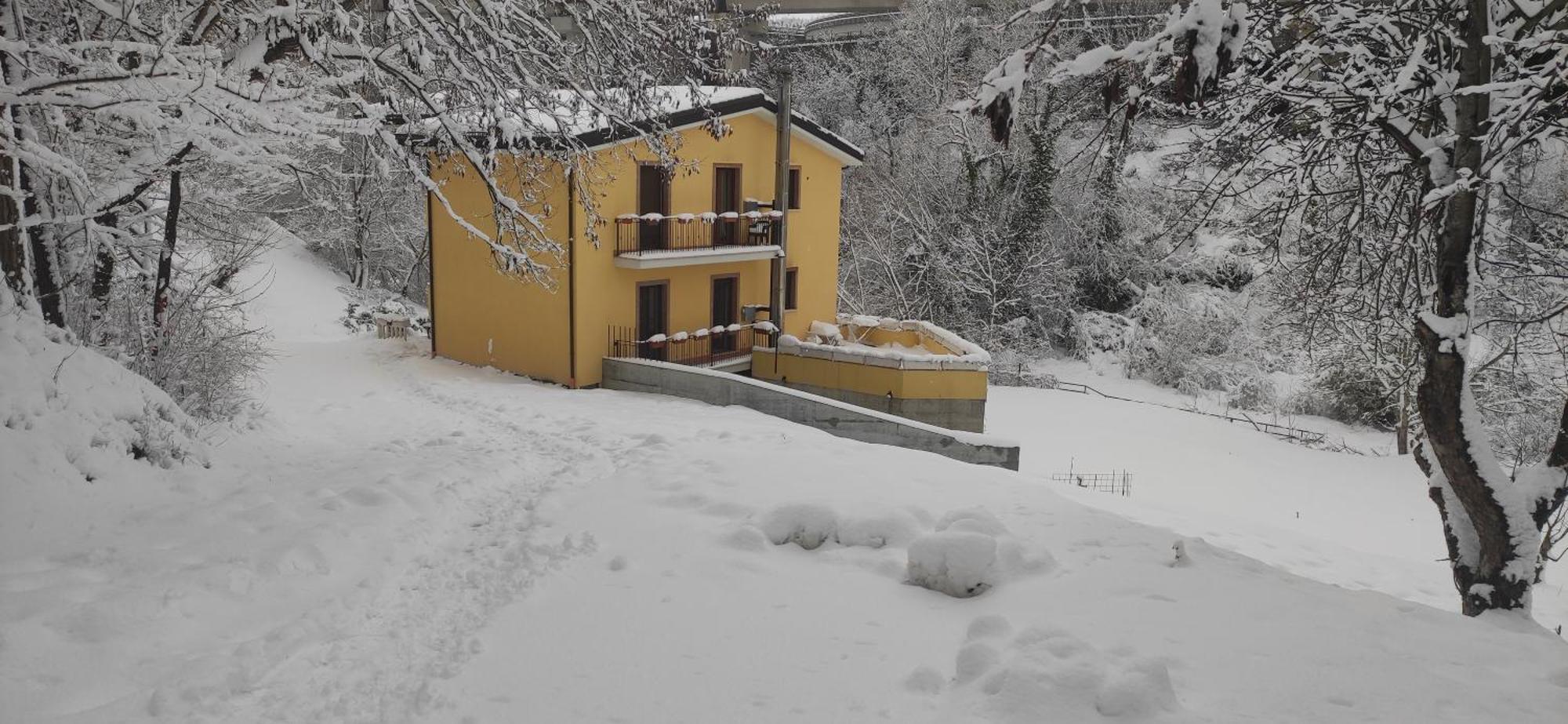 Villa Center Appartamenti Nel Verde In Citta Campobasso Kültér fotó